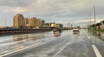 الأرصاد تتوقع أمطارًا غزيرة وجريان سيول تؤثر على مناطق محددة اليوم